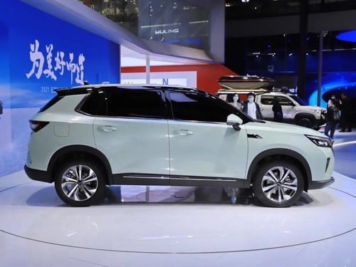 山岚汽车多少钱