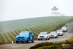 南京汽车拍照费用多少