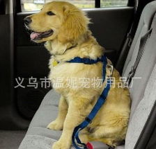 汽车能载多少狗