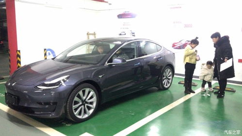 特斯拉汽车买了多少辆