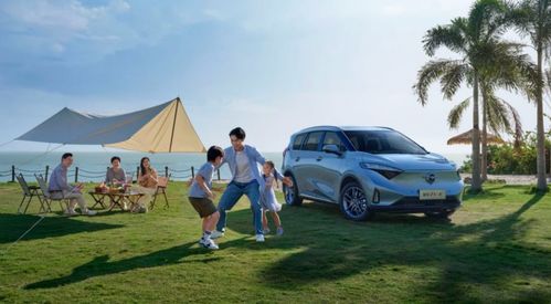 海南上岛汽车收费多少