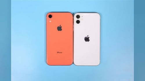 根据您提供的内容，我为您整理了关于苹果XR和苹果13 Pro Max等苹果产品的价格信息，并进行了适当的错别字修正和语句润色，同时补充了部分内容：
