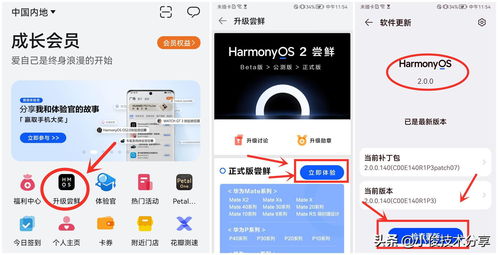 华为鸿蒙系统升级名单-华为鸿蒙系统升级版